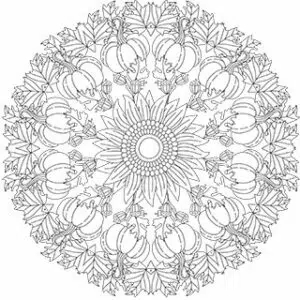 Acorn Sun Mandala