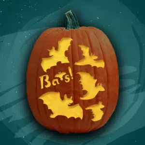 And More Bats!