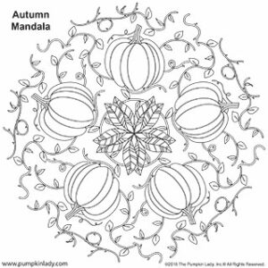 Autumn Mandala