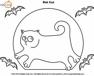 Bat Cat