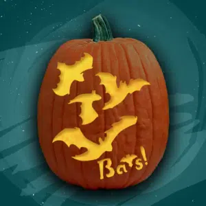 More Bats!