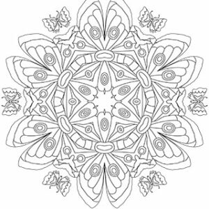 Moth Mandala