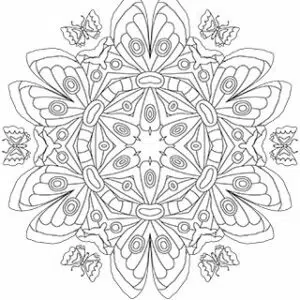 Moth Mandala