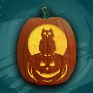 Night, Owl!
