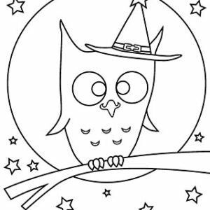 Party Owl