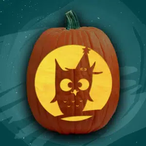 Party Owl