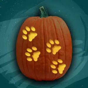 Paw Prints