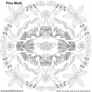 Pine Moth Mandala