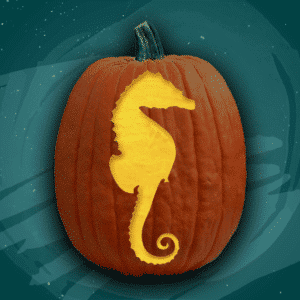 Seahorse