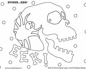 Spider EEK!